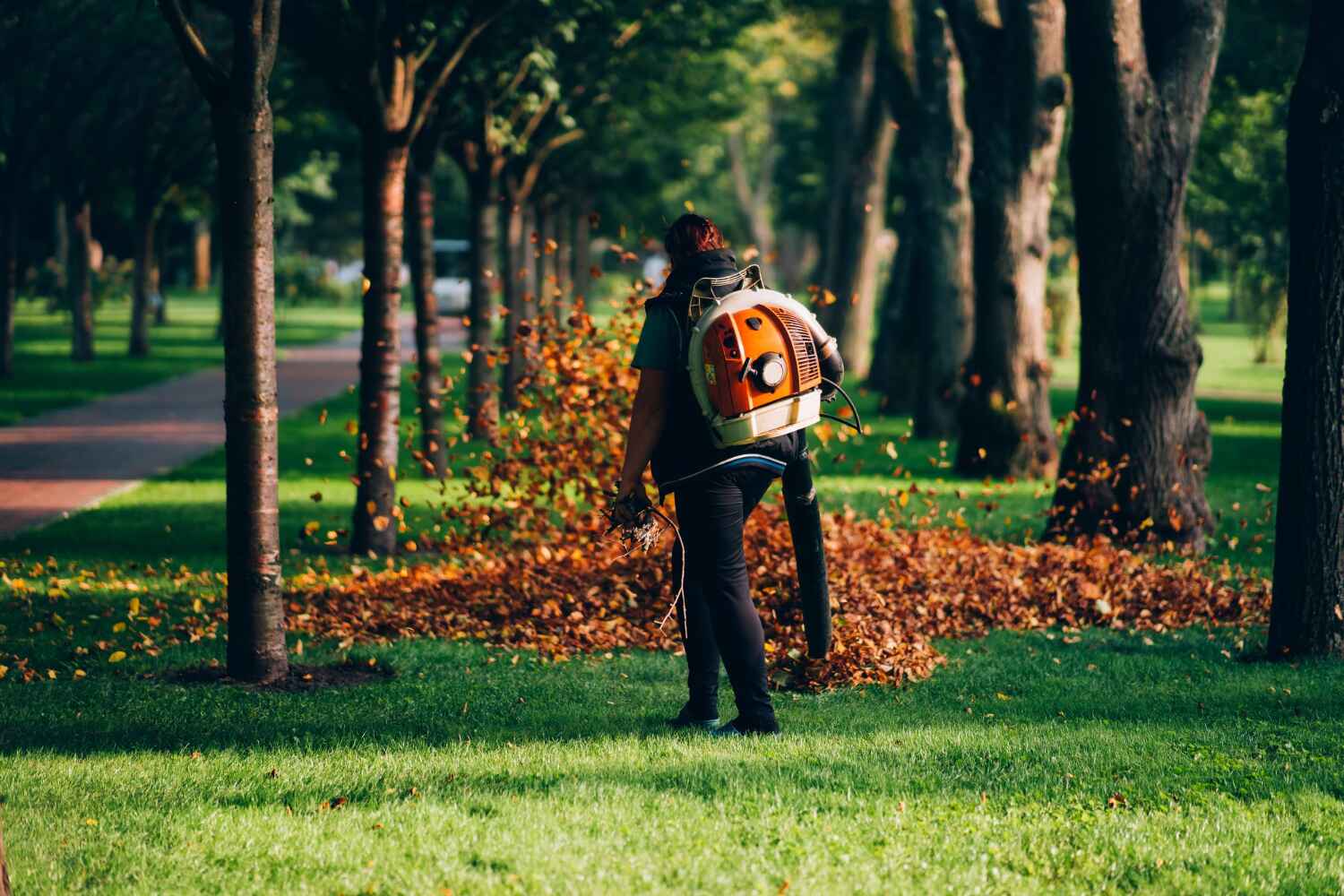 Best Arborist Services Near Me  in Sand Lake, MI